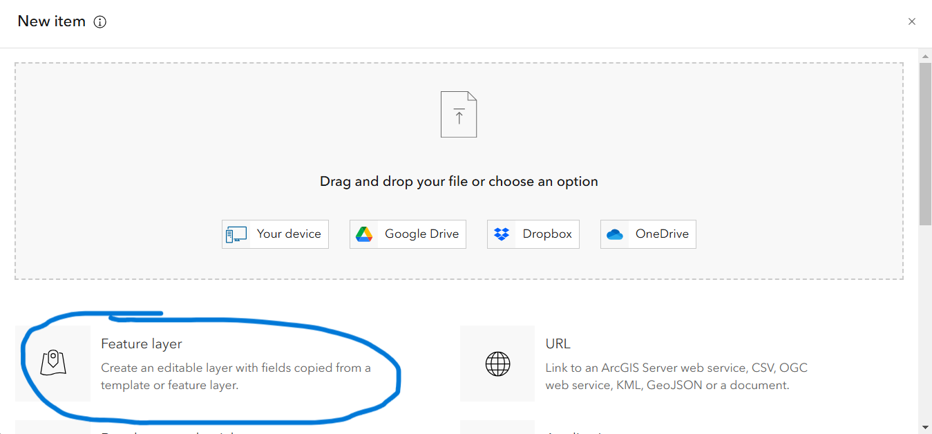 Choose 'Feature Layer' in pop-up