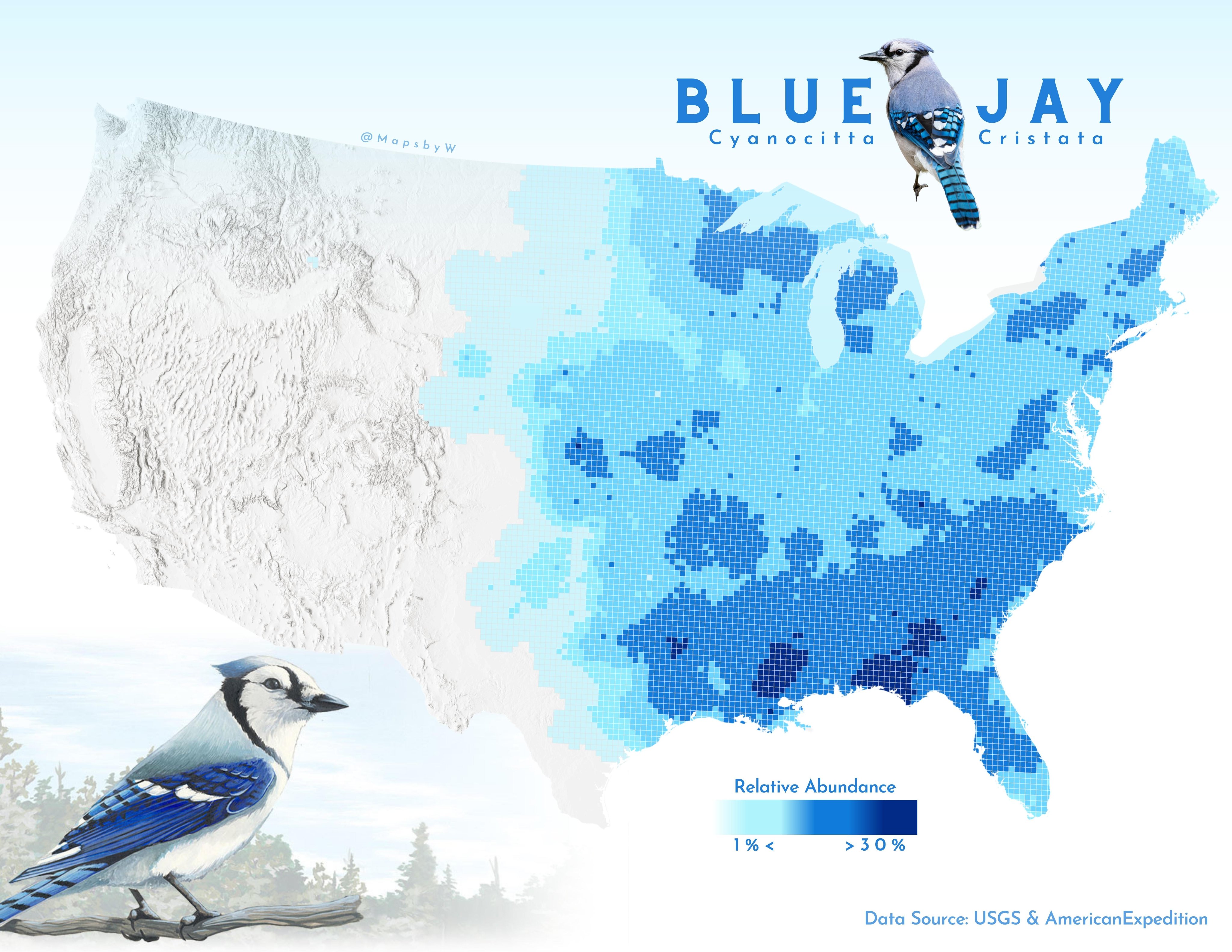 blue jay map
